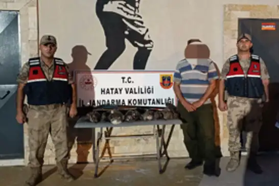 Hatay’da 7 arı şahini vuran kişiye 1 milyon 356 bin lira ceza