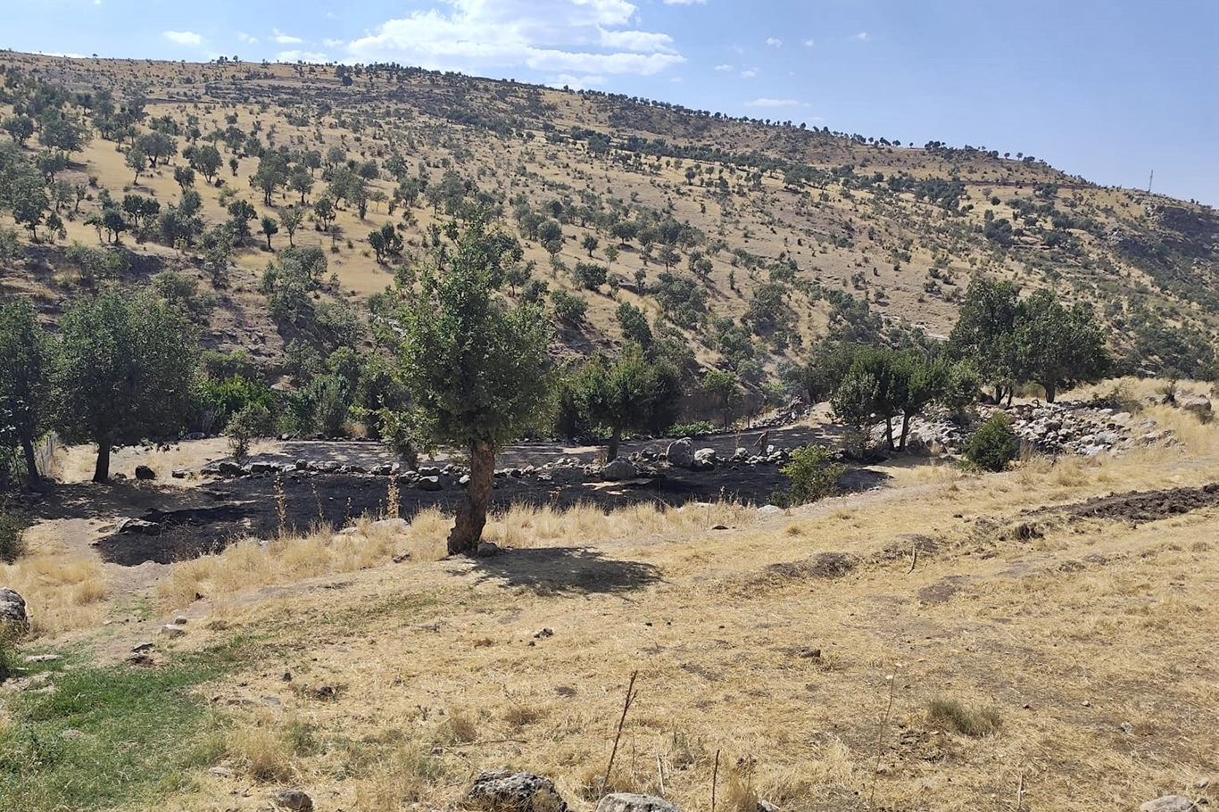 Şırnak'ta kuru otlardan çıkan yangın tarlada toplanan samanlara sıçradı