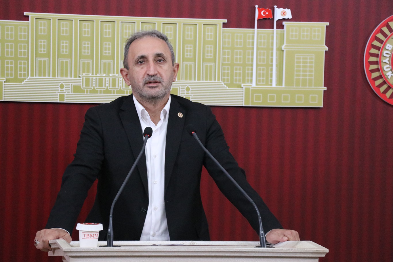 Şahzade Demir 