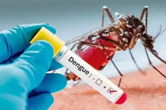 Bangladesh dengue outbreak surges as hospital admissions hit record high