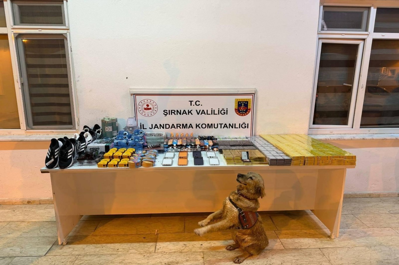 Şırnak'ta jandarma operasyonlarında 227 şüpheli gözaltına alındı 