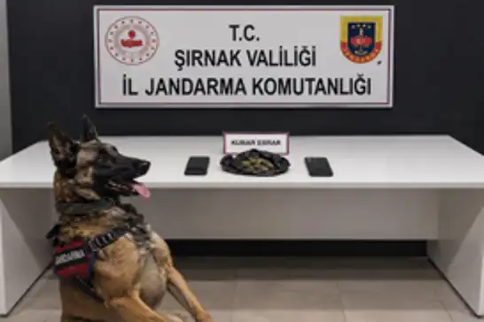Şırnak'ta jandarma operasyonlarında 227 şüpheli gözaltına alındı 