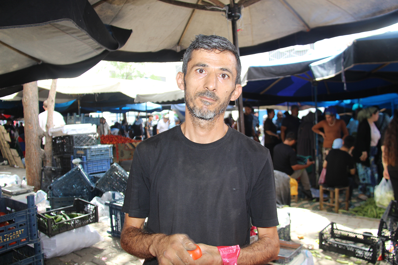 Metin Alp