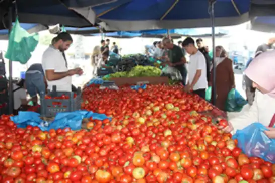 Li Dîyarbekirê tevgera çêkirina şûşeyan dest pê kir