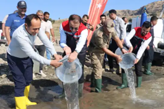 Şırnak'ta 900 bin yavru şabut Ilısu Baraj Gölü’ne  bırakıldı