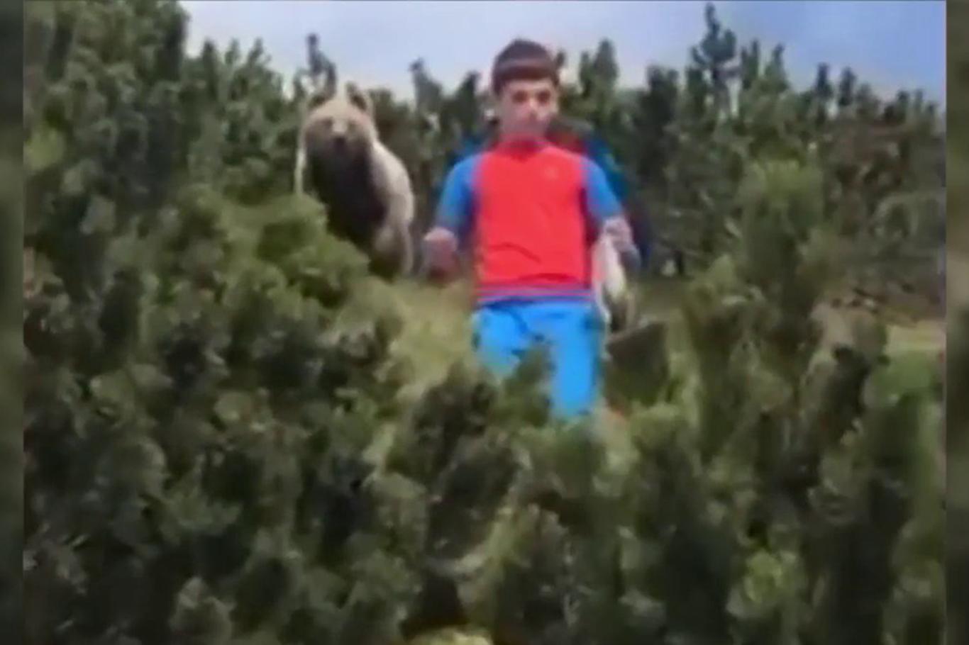 صبي يتخلص من دب يطارده بالحفاظ على هدوء أعصابه