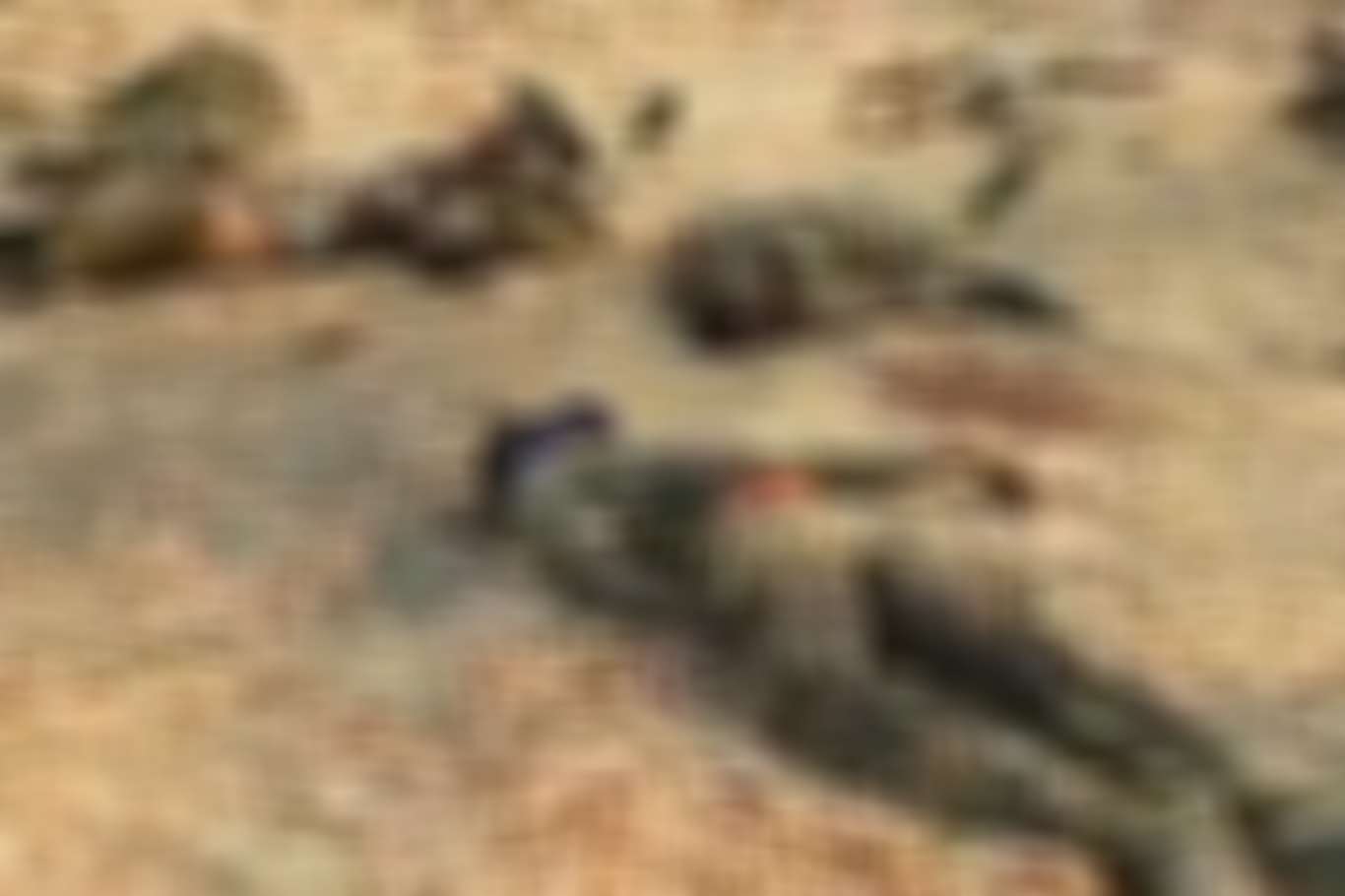 22 Indian soldiers killed in ambush by Maoists