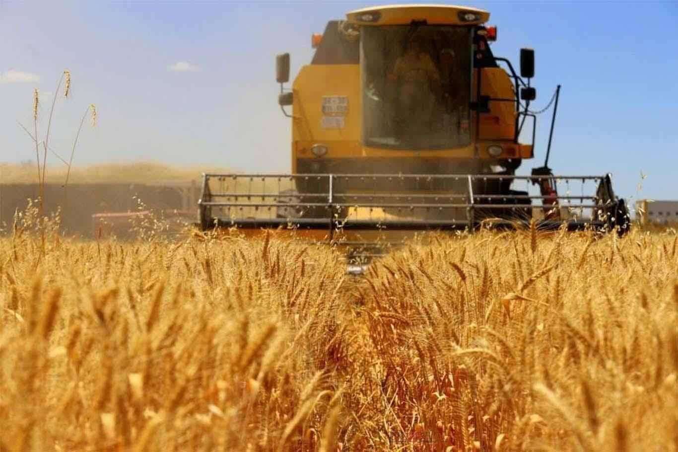 Agricultural Input Price Index rises by 6.74% annually in Turkey