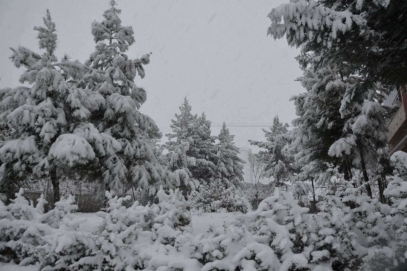 The first snowfall of the season occurs in Diyarbakir