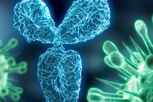 WHO names new coronavirus variant “Omicron”