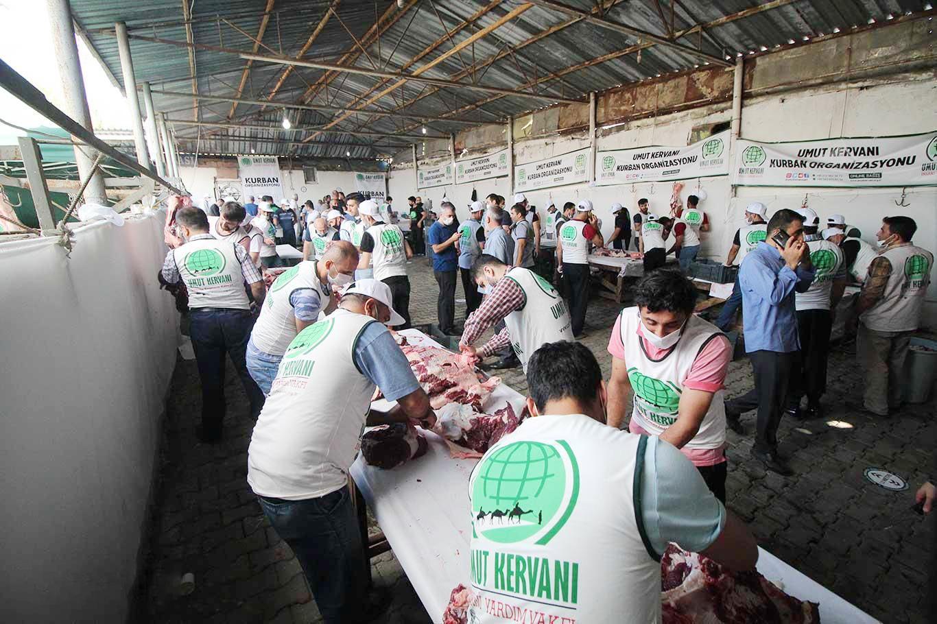کاروانی ئومێد راپۆرتی چالاکیەکانی لە جەژنی قوربانی ٢٠٢٠ بڵاو کردەوە