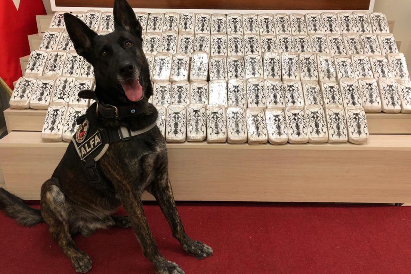 132 kilo eroin ele geçirildi