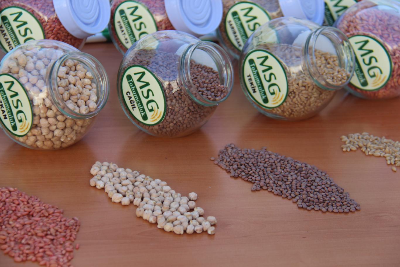 37 çiftçiye 51 ton ücretsiz tohum dağıtıldı