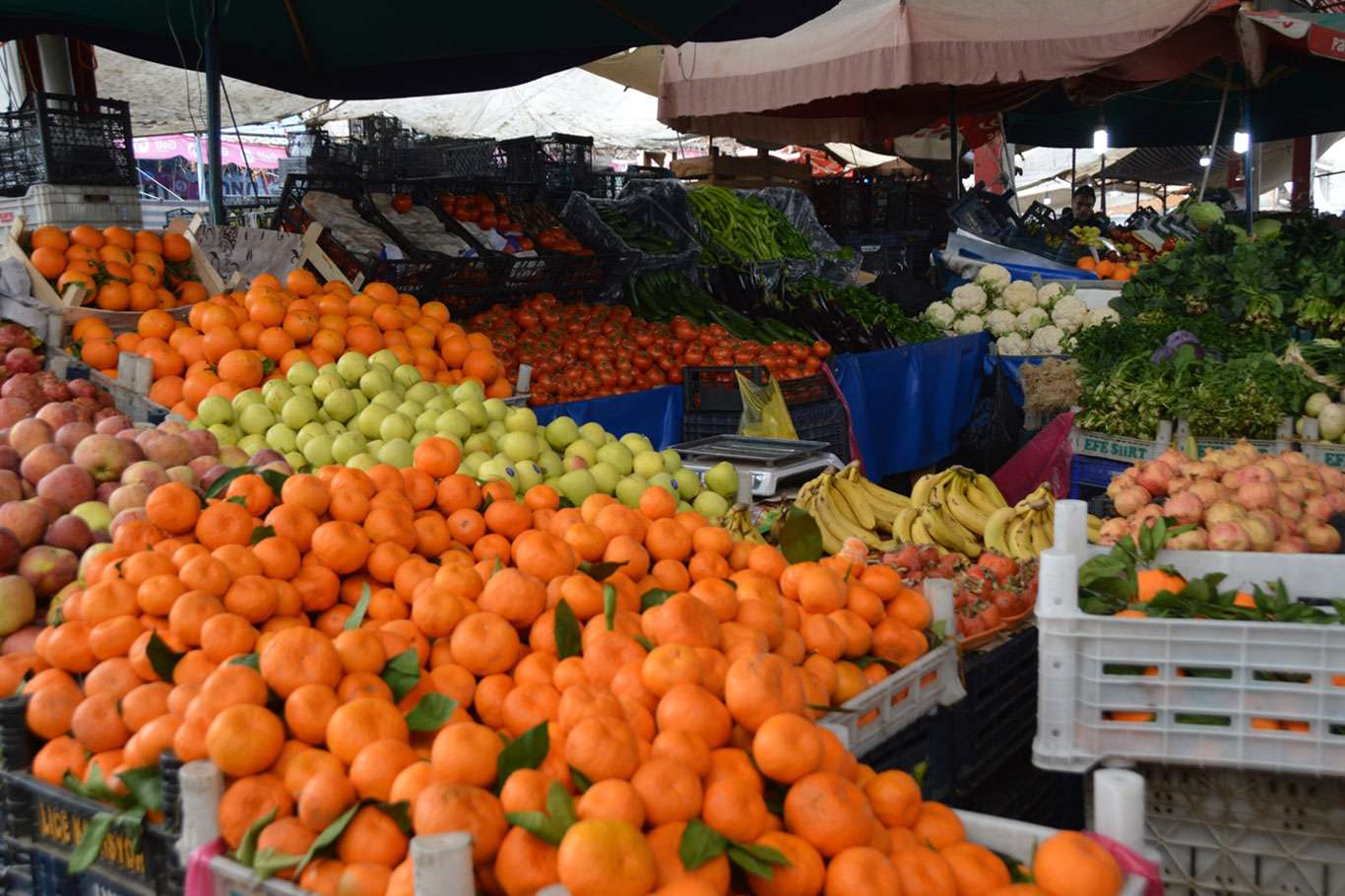 Kış aylarının vitamin deposu olan meyve fiyatları el yakıyor