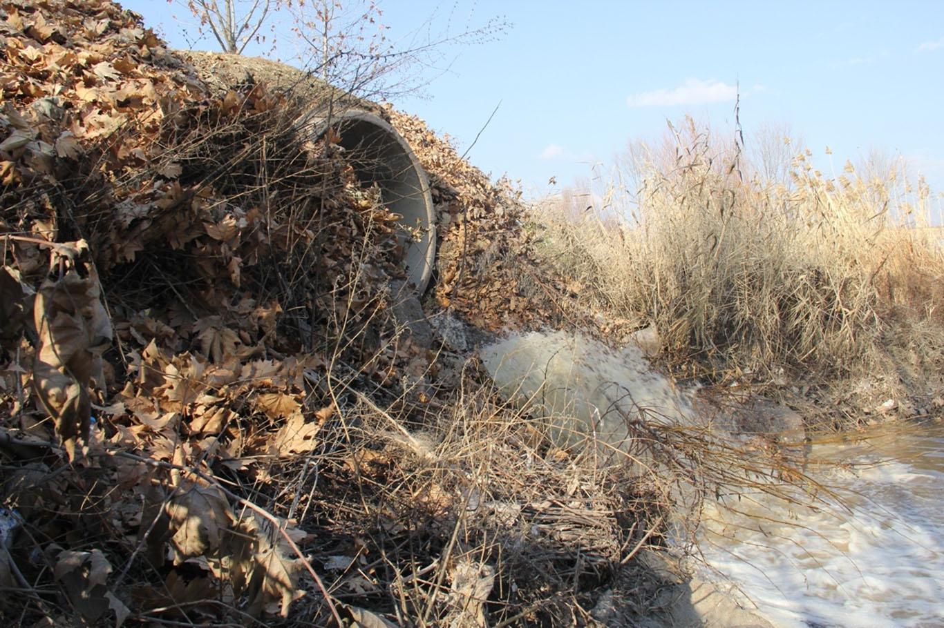Dicle Nehri'ne akıtılan atık sular halkın tepkisini çekiyor