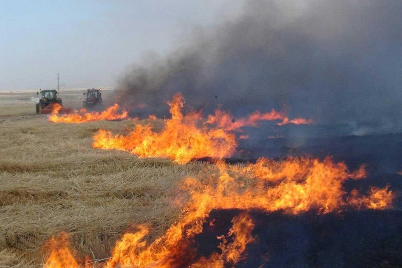 Anız yakma doğaya ciddi zararlar veriyor