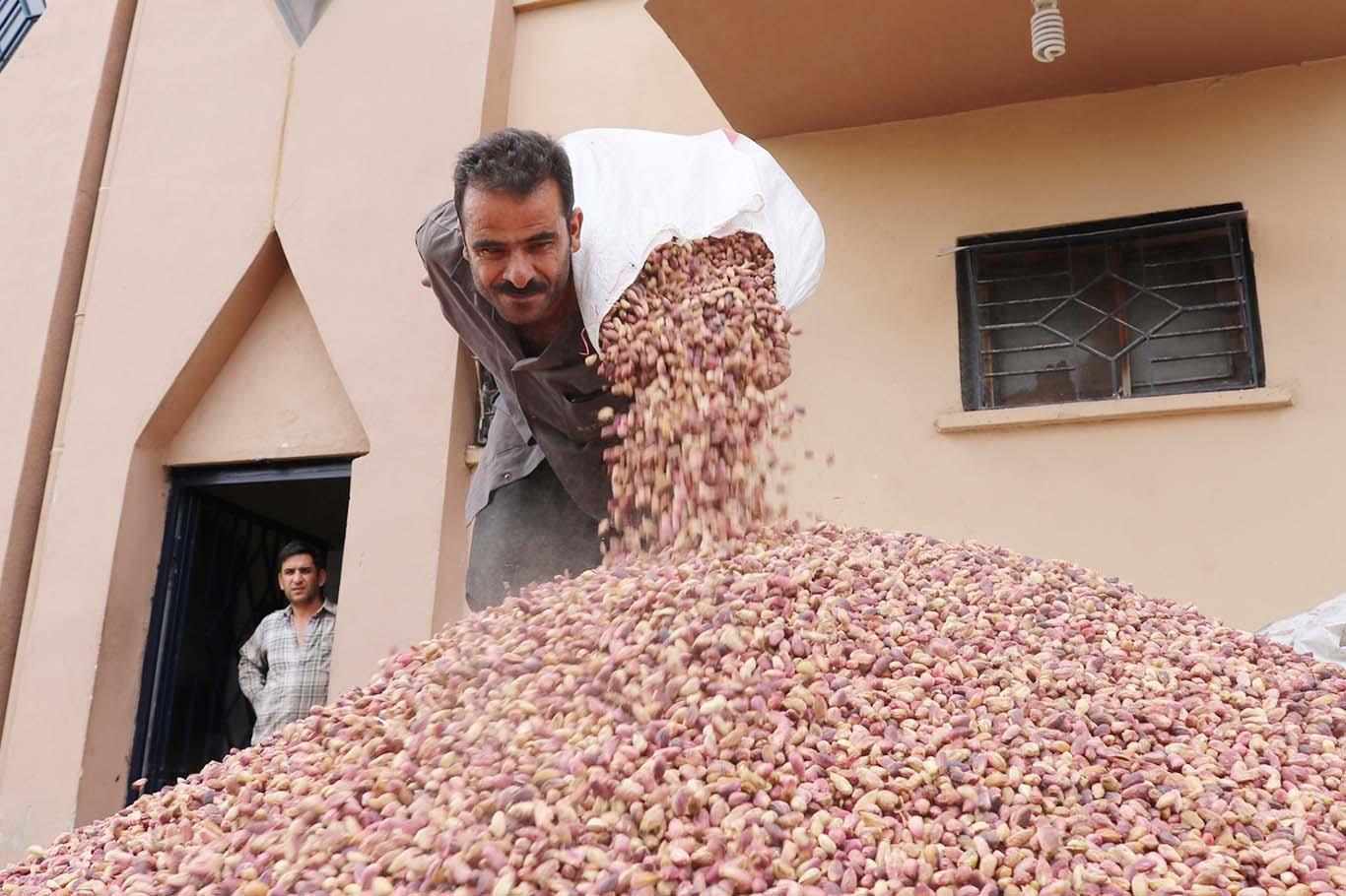  "Antep fıstığı destek kapsamına alınsın" 