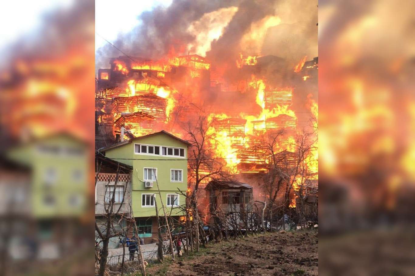 Artvin'de yanan evlerin yerine yenileri inşa edilecek