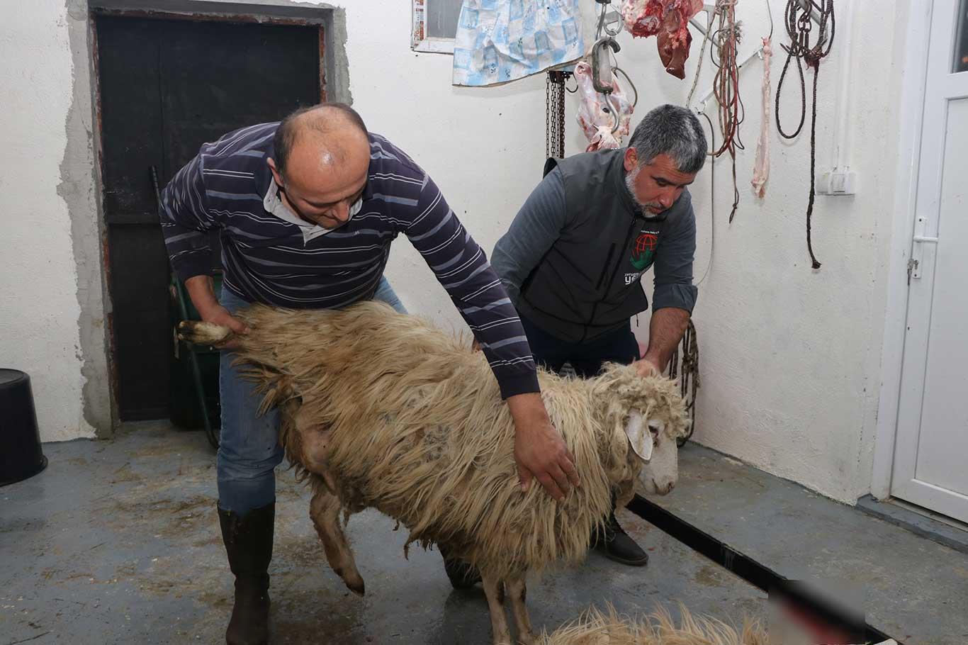 Avrupa Yetim Eli "2020 Balkanlar Kış Yardımı" çalışmalarını kurban keserek sona erdirdi