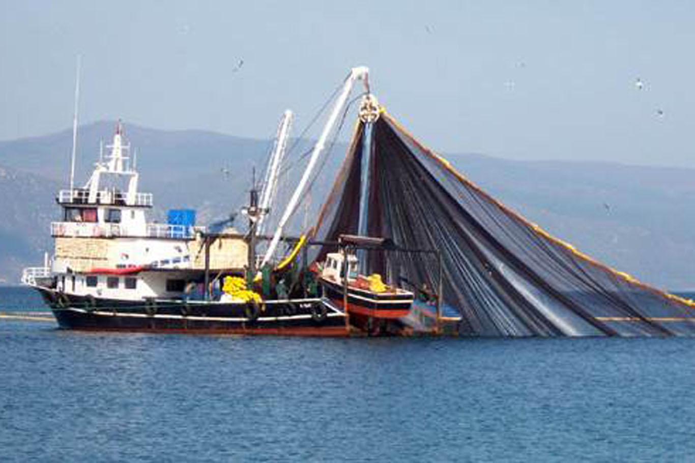 Balıkçılık