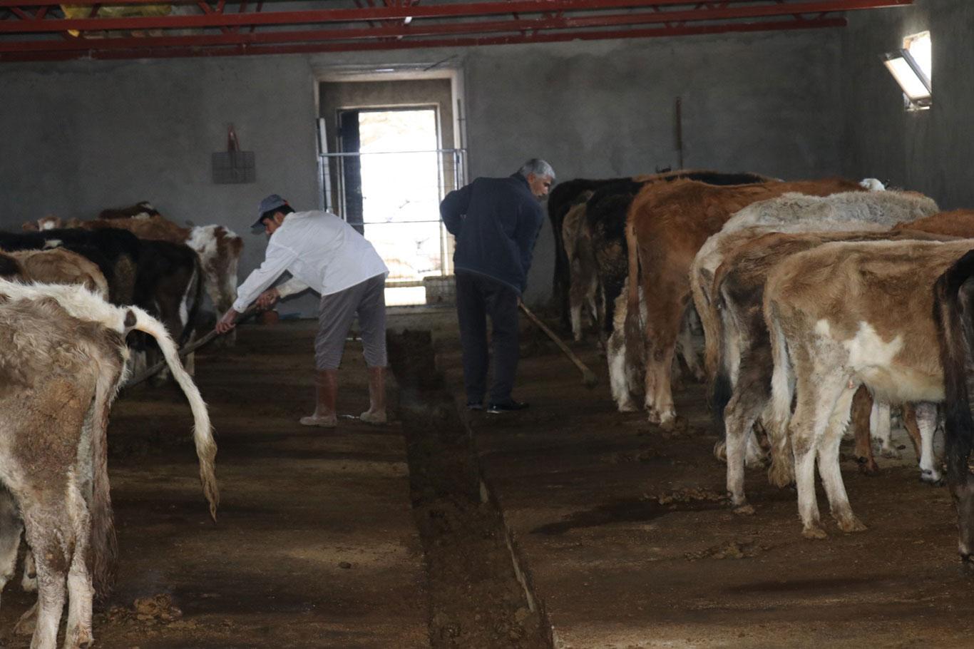 ​Besicilerin elektrik mağduriyeti