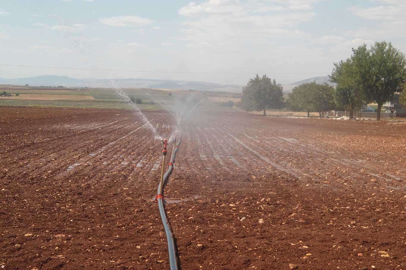 Bilinçsiz sulama toprağa ve ürüne zarar veriyor