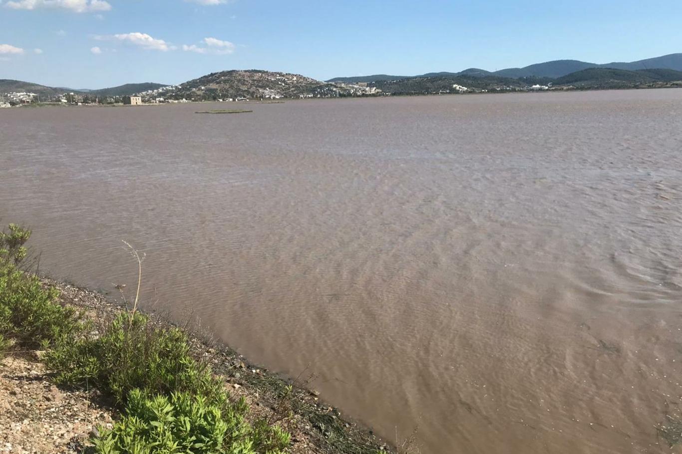  Bodrum Tuzla Kuş Cenneti çamura büründü