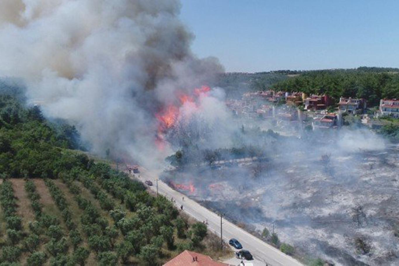 Bursa'da korkutan orman yangını
