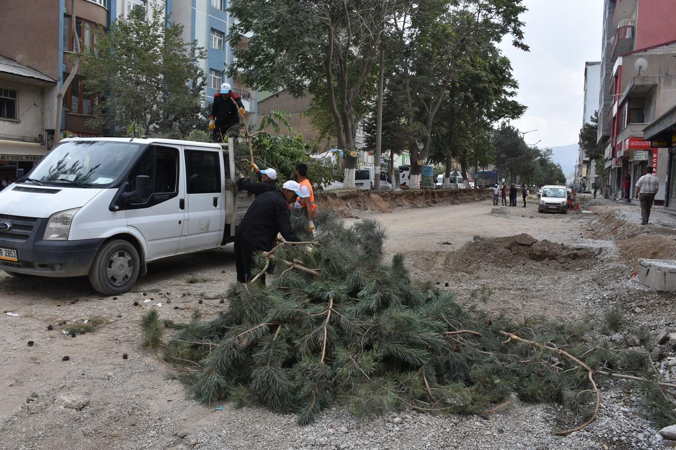 Cadde üzerinde bulunan ve devrilme tehlikesi olan ağaçlar kesildi
