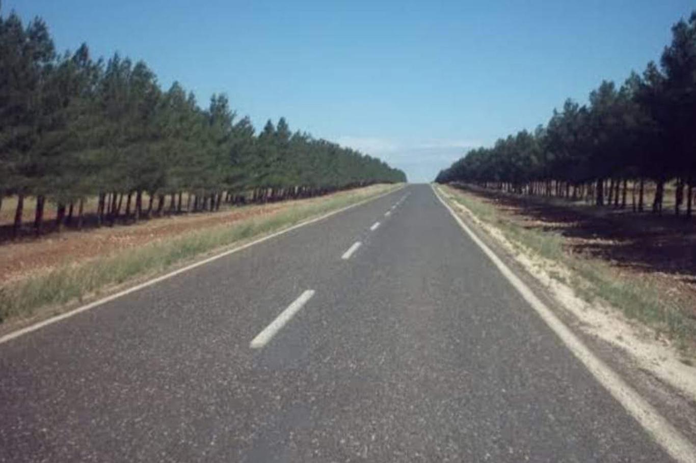 Ceylanpınar-Viranşehir Karayolu'nda patlayıcı ele geçirildi