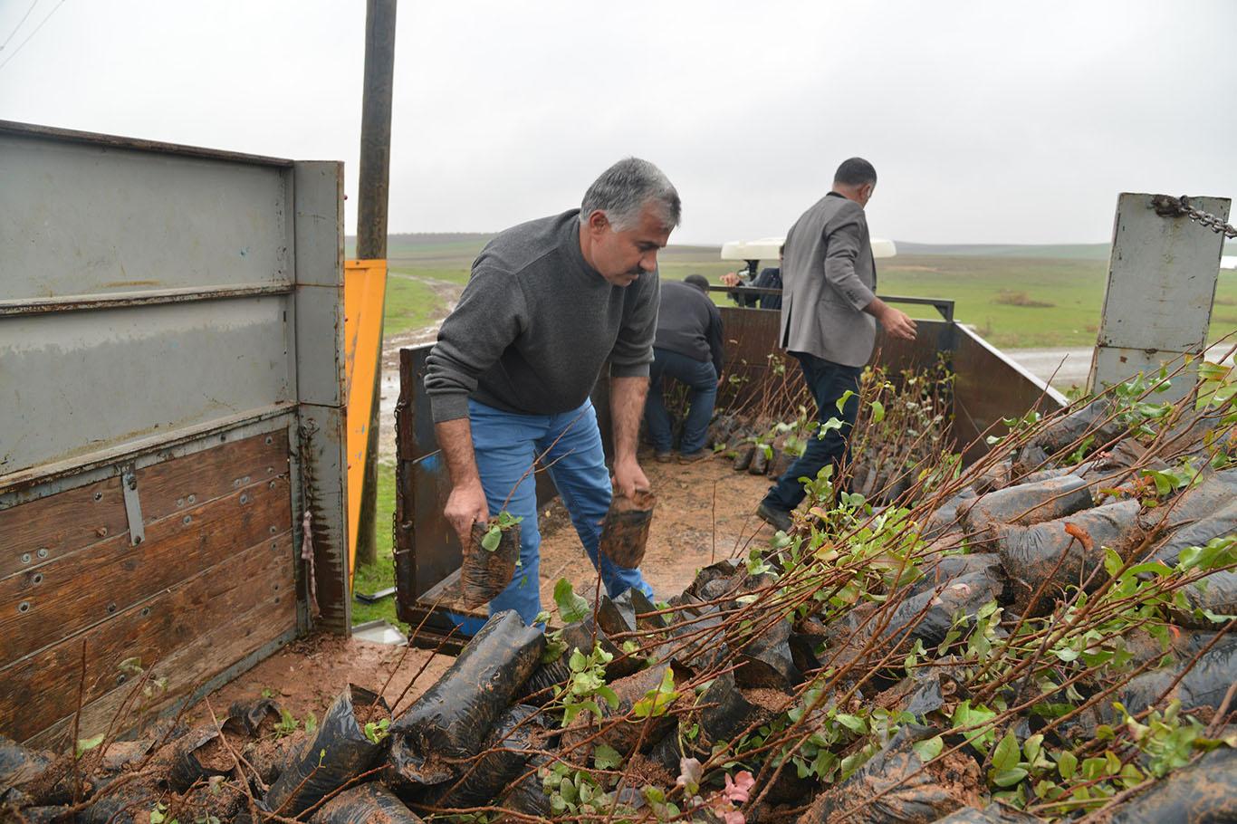 Çiftçilere fidan ve gübre desteği verilecek