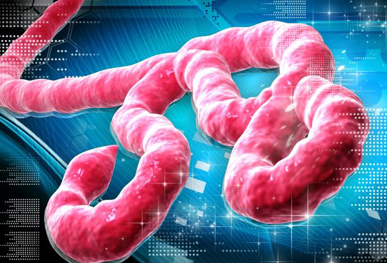 Eboladan ölenlerin sayısı 7 bini aştı