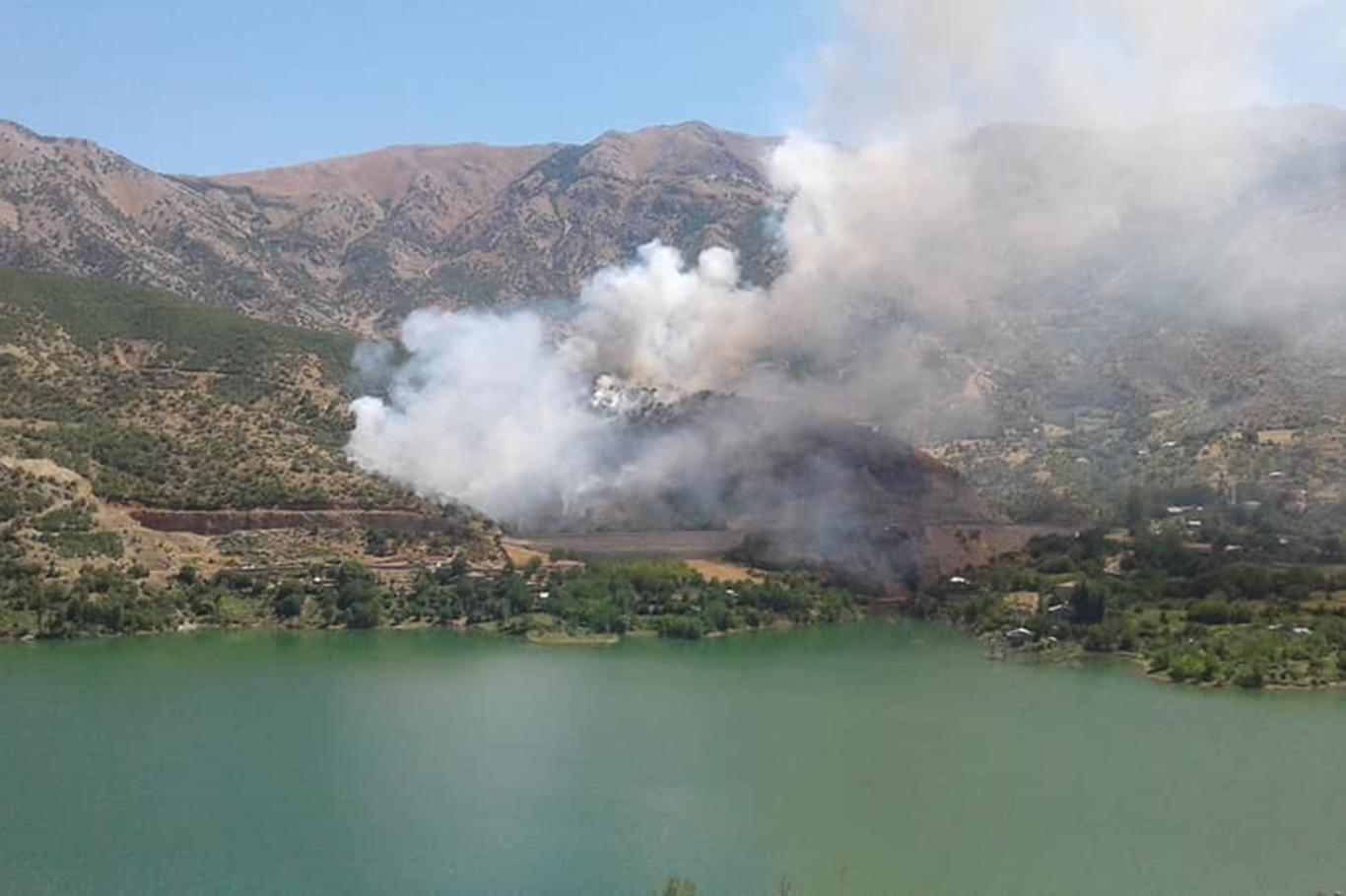 Elazığ'da anız yangını ormana sıçradı