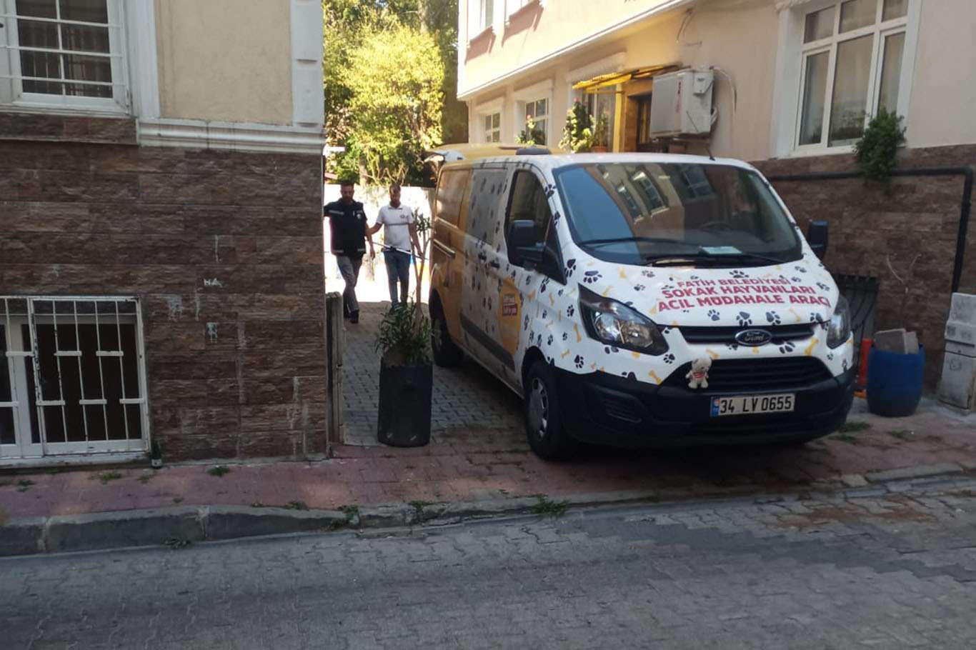 İLKHA'nın gündeme aldığı kedileri öldüren pitbull cinsi köpekler belediye tarafından toplatıldı