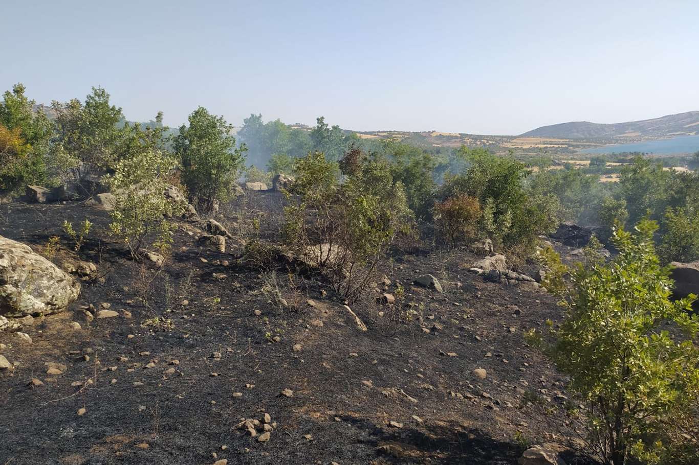 Fırat Nehri yakınlarında çıkan yangın fidanlık alana sıçradı