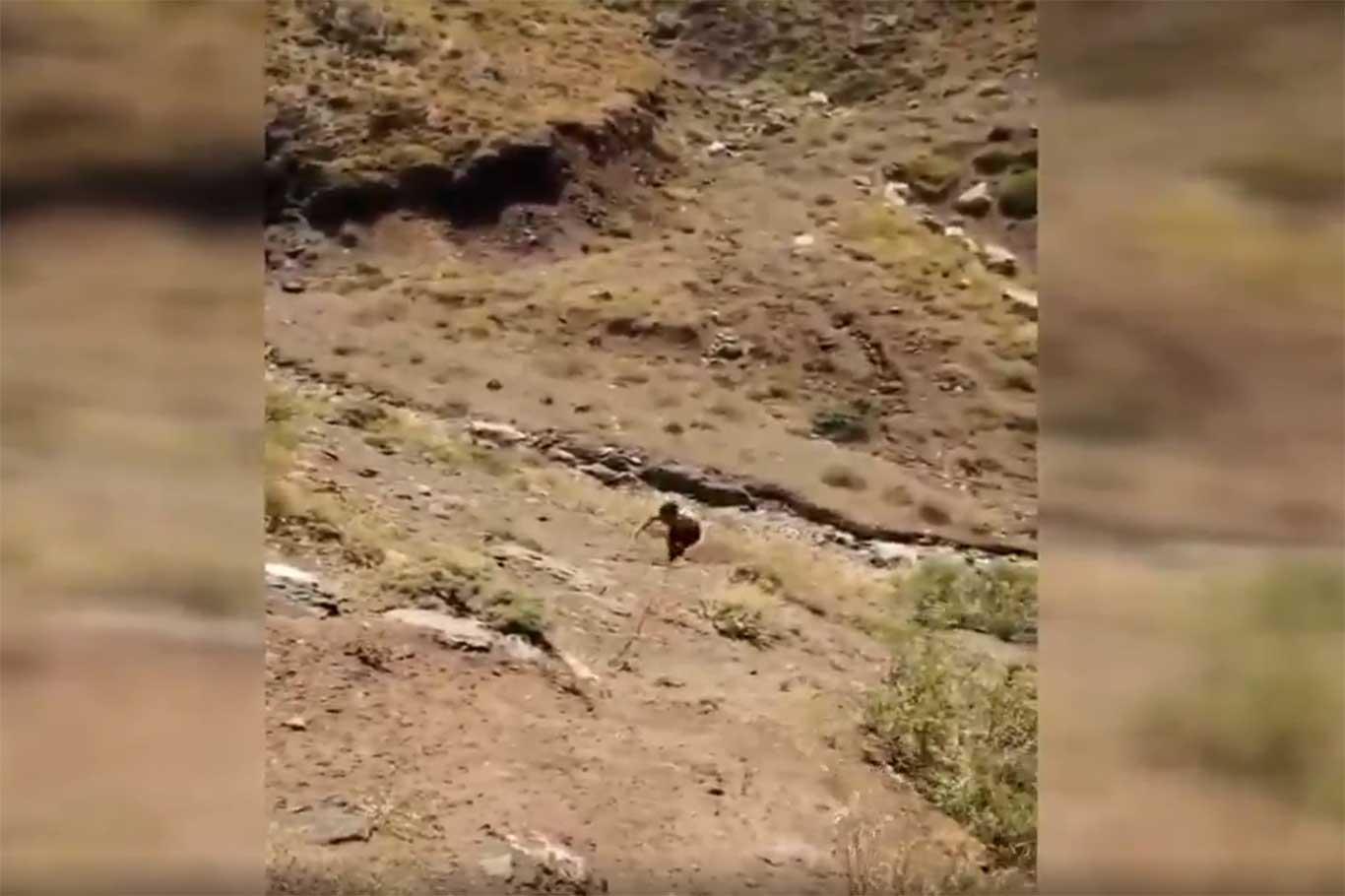 Hakkâri'de bir PKK'li teslim oldu