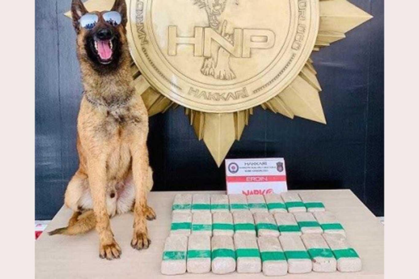Hakkâri'de uyuşturucu operasyonunda bir kişi gözaltına alındı