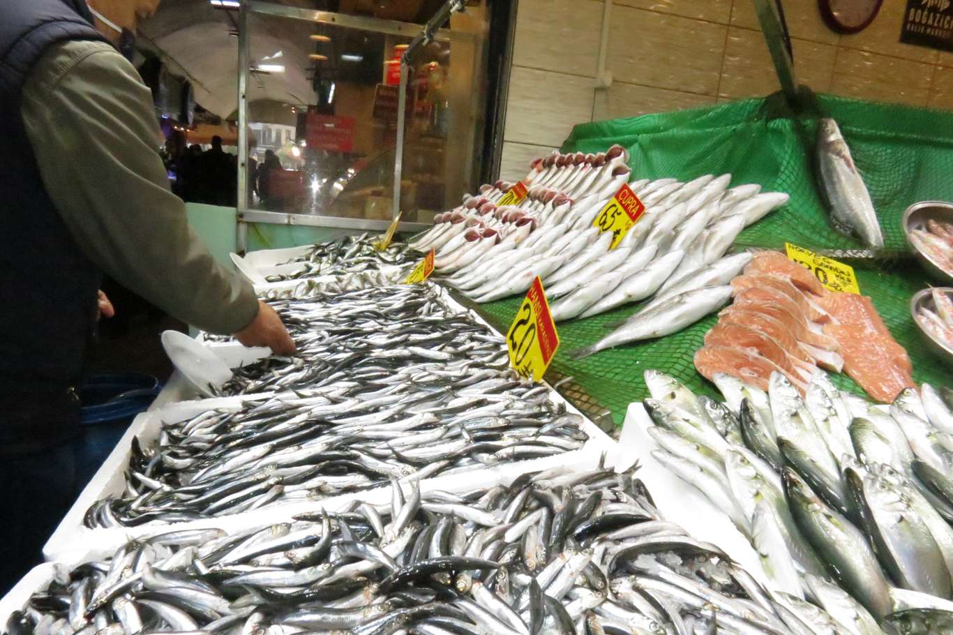 İstanbul'da hamsinin fiyatı 20 liraya düştü
