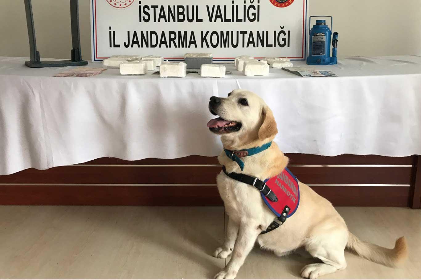 İstanbul’da uyuşturucu operasyonu: 4 kişi tutuklandı