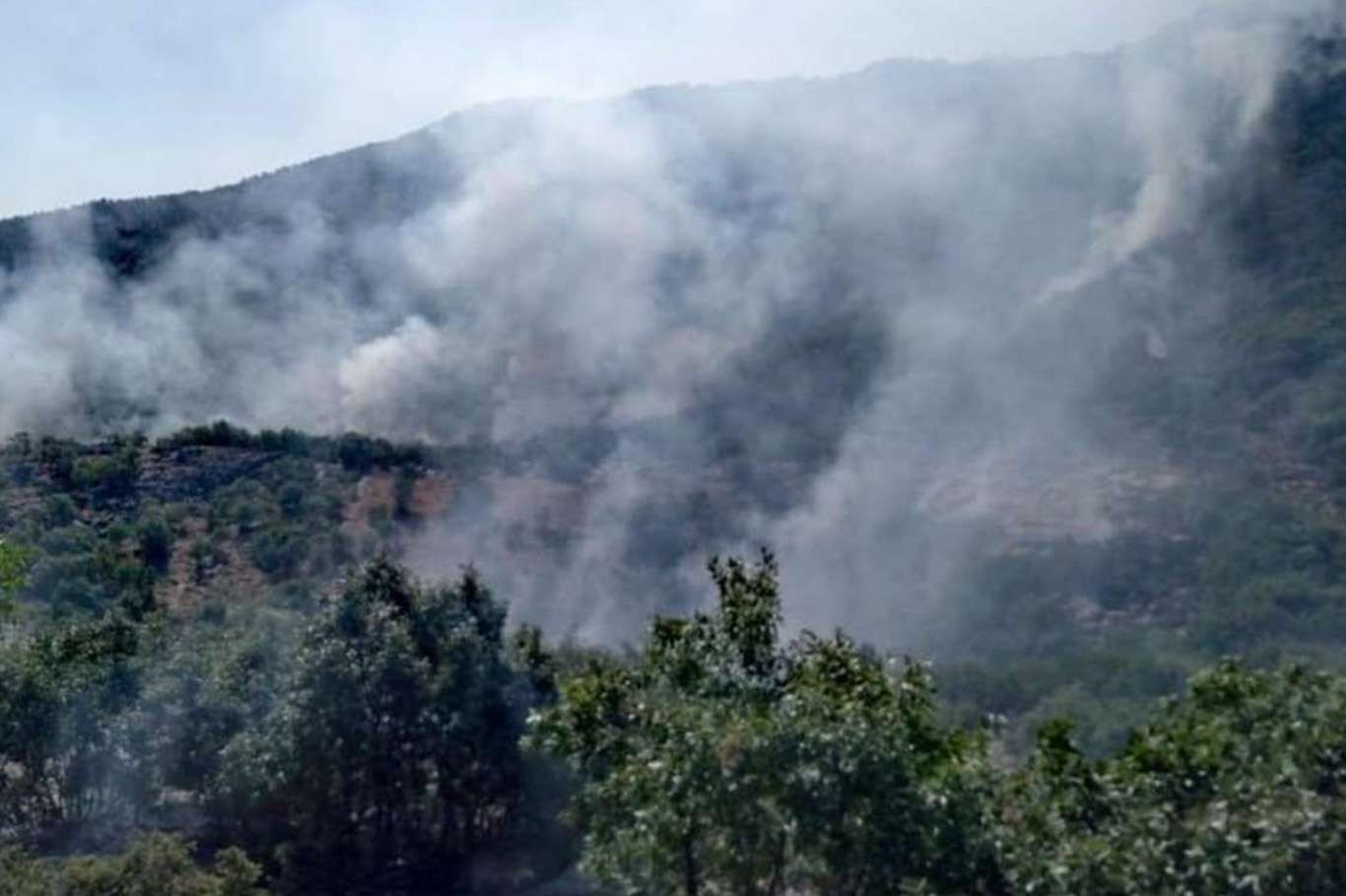 İtalya'daki yangın şu ana kadar 20 hektar araziye zarar verdi