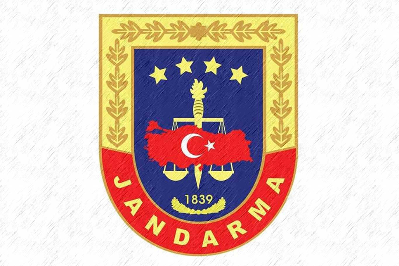 Jandarmadan 'ineğe trafik cezası' açıklaması