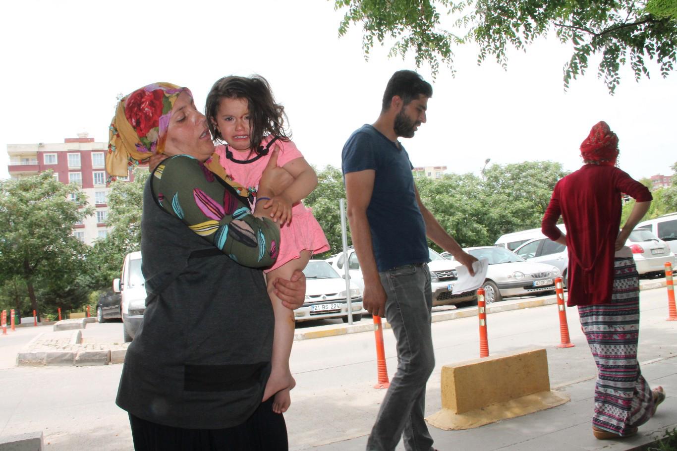 Köpeklerin saldırısına uğrayan kız çocuğu ölümden döndü