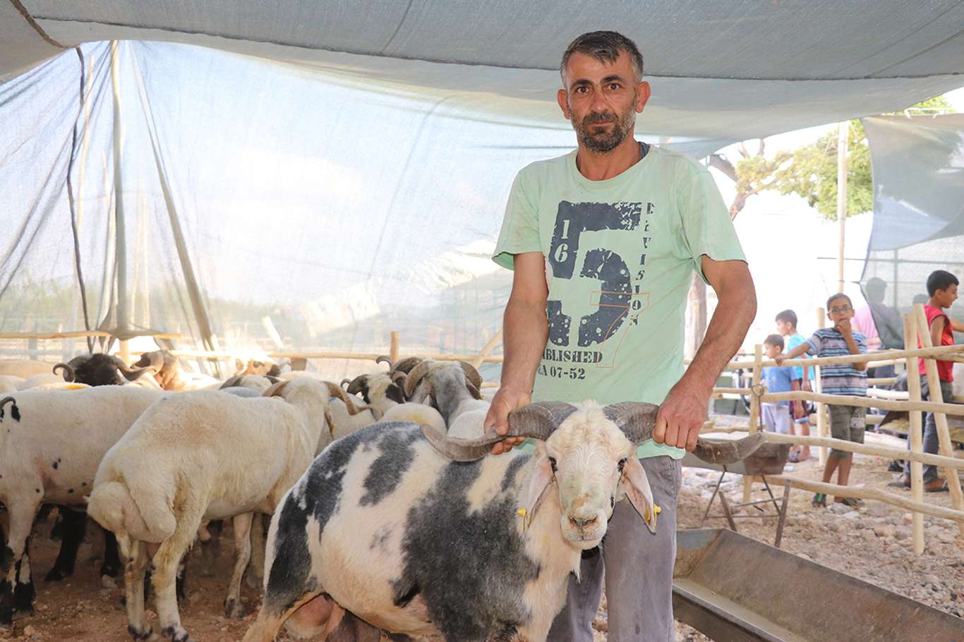 Kurban Bayramı’nda vatandaşın kurbanlık tercihi küçükbaş oldu