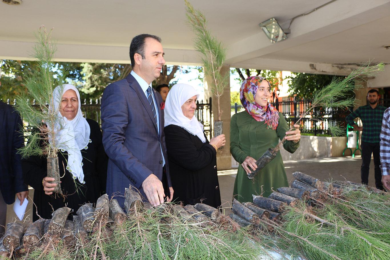 Mardin’de fidan dağıtımı başladı