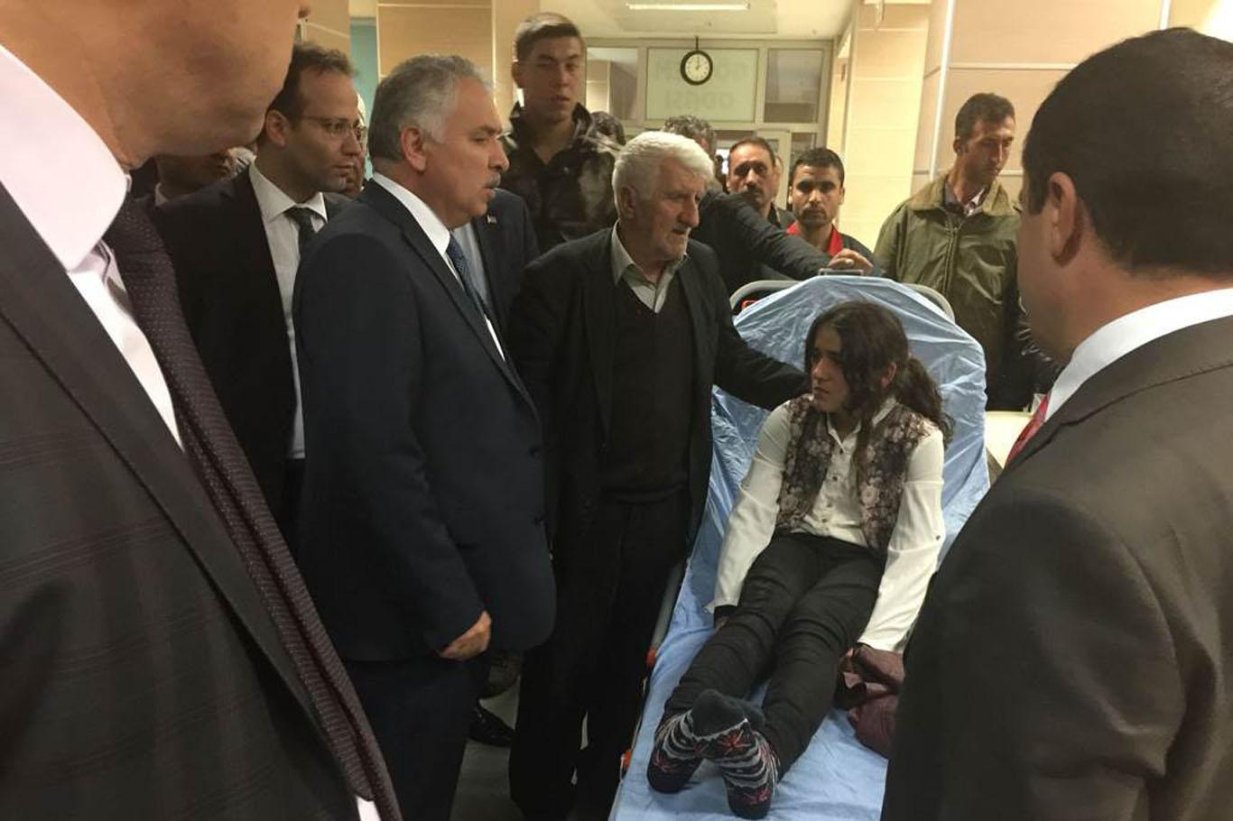 Muş'ta üzerine ağaç düşen 2 kişi öldü