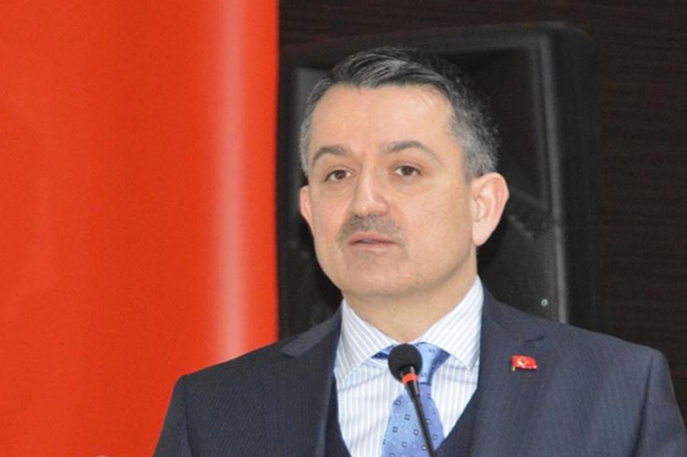 Pakdemirli: Pendik yangınında yakalanan vatandaşın terör bağlantısı mevcut