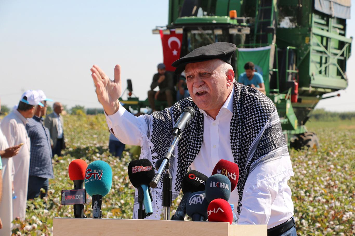 Pamuk fiyatları son bir yılda yüzde 26 oranında geriledi