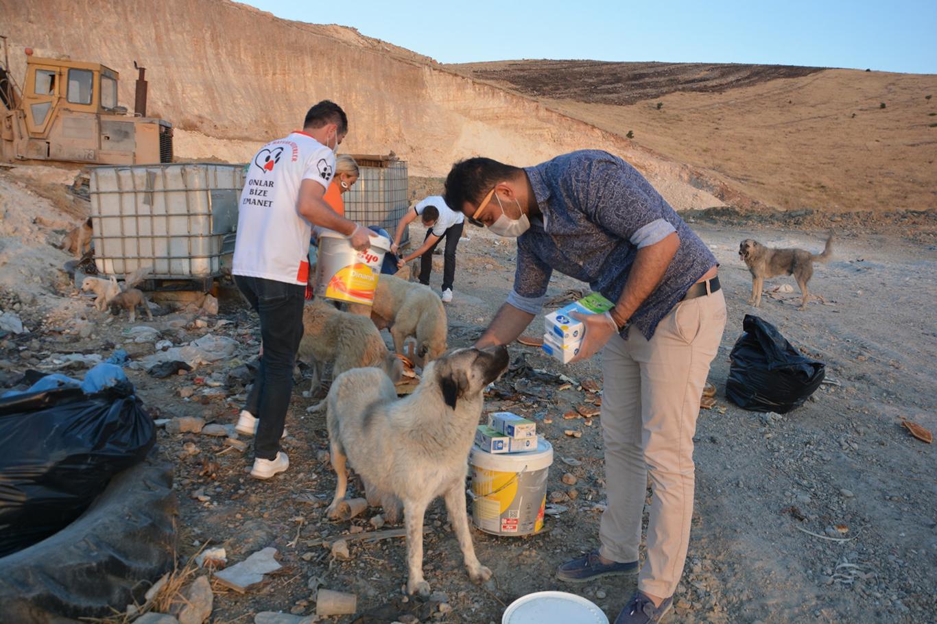  Sahipsiz Hayvanlar Derneği kuruldu