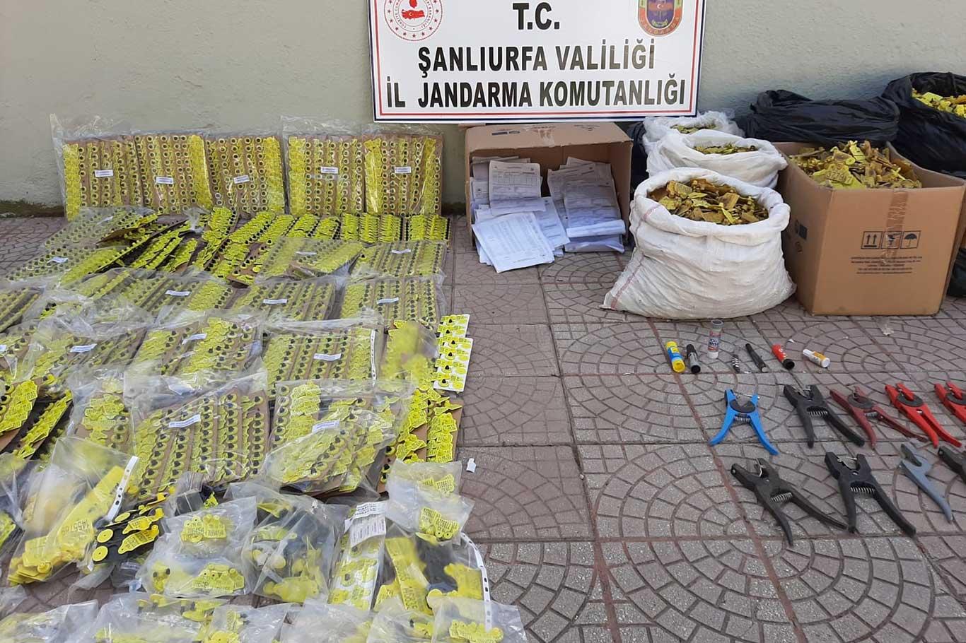 Şanlıurfa'da sahte hayvan küpesi imal eden 17 şüpheli yakalandı
