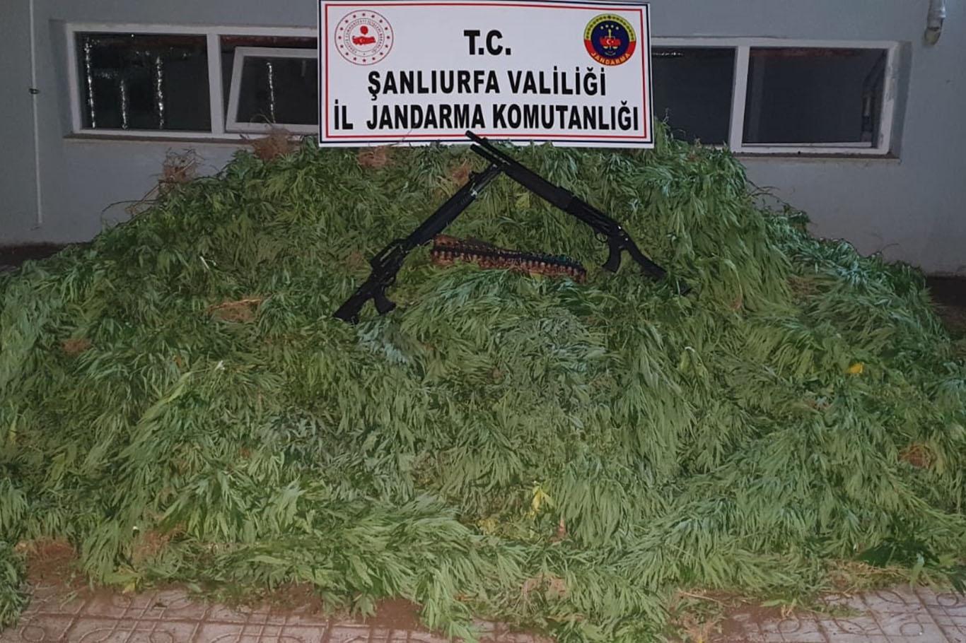 Şanlıurfa'da uyuşturucu operasyonu